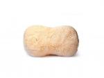 wash-sponge.png